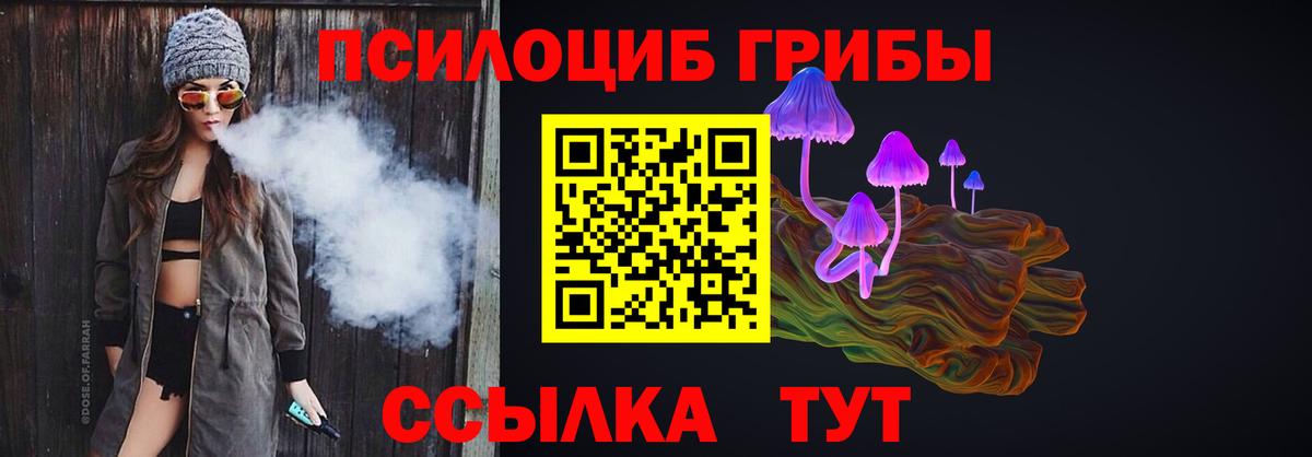 Галлюциногенные грибы Psilocybe Гудермес