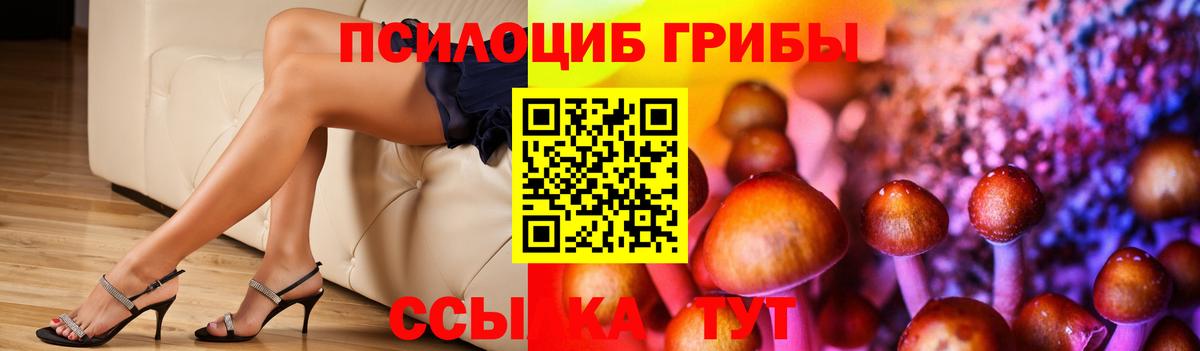 купить закладку  Вход с VPN  Гудермес  Псилоцибиновые грибы мицелий  Галлюциногенные грибы MAGIC MUSHROOMS 